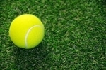 テニスボール